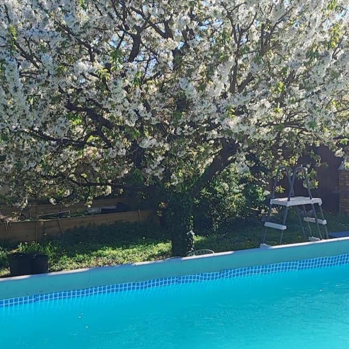 Havre De Paix Villa Corbeil-Essonnes Bagian luar foto